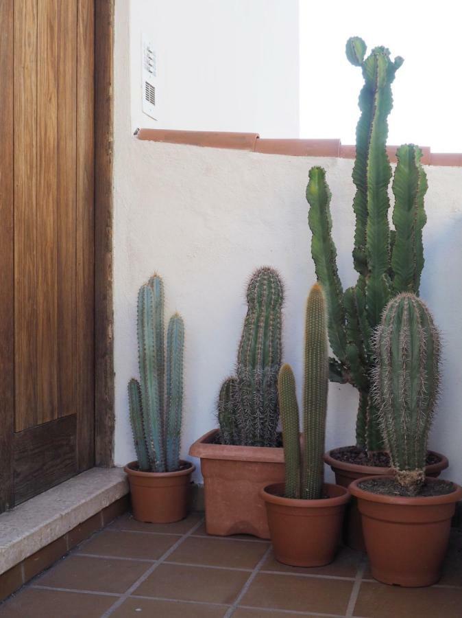 Casa Alejandro Las Vistas 아로나 외부 사진